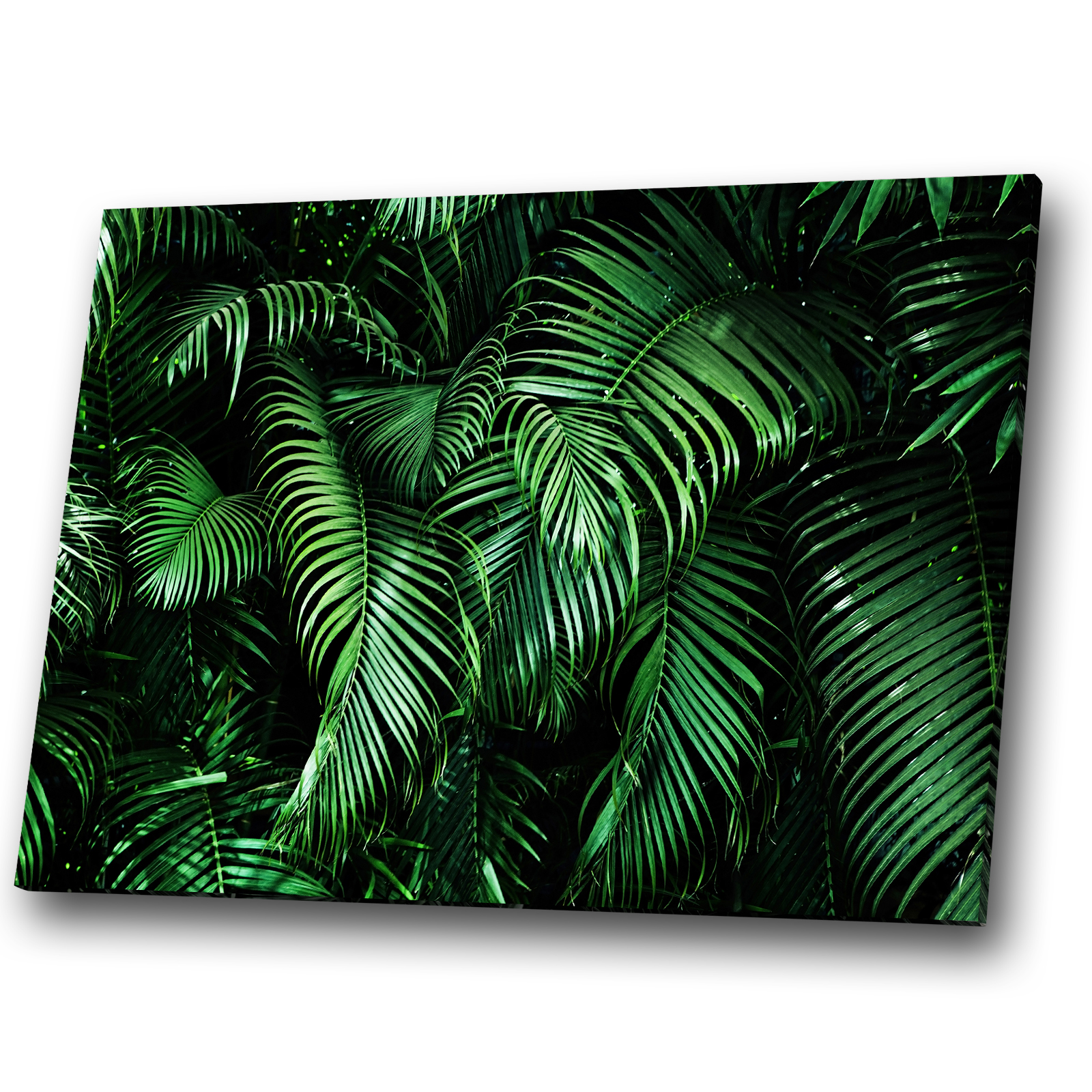 Leaves Leaf Black Green Nature Abstract Canvas Art Cool Picture Prints ...