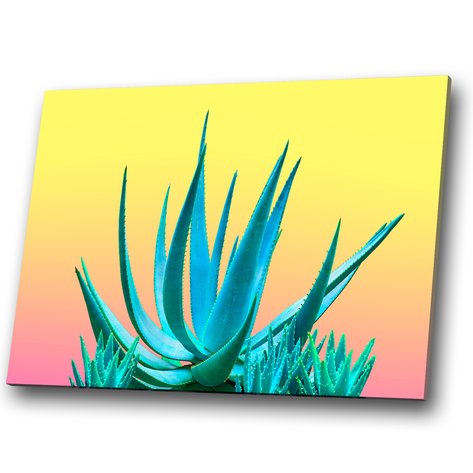 blue cactus wall art